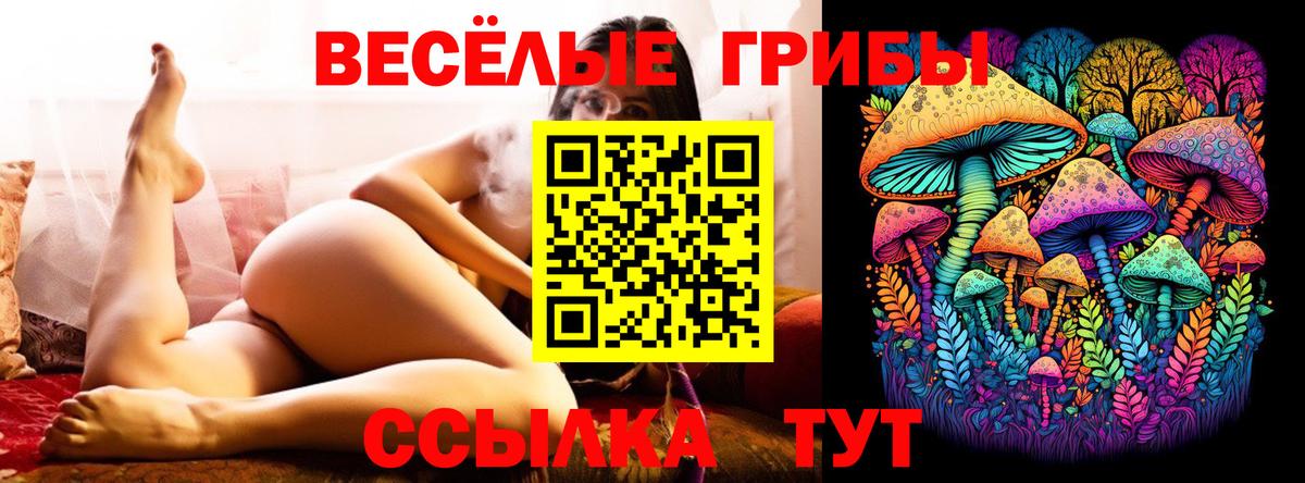 Галлюциногенные грибы MAGIC MUSHROOMS  Вход с VPN  Электросталь 